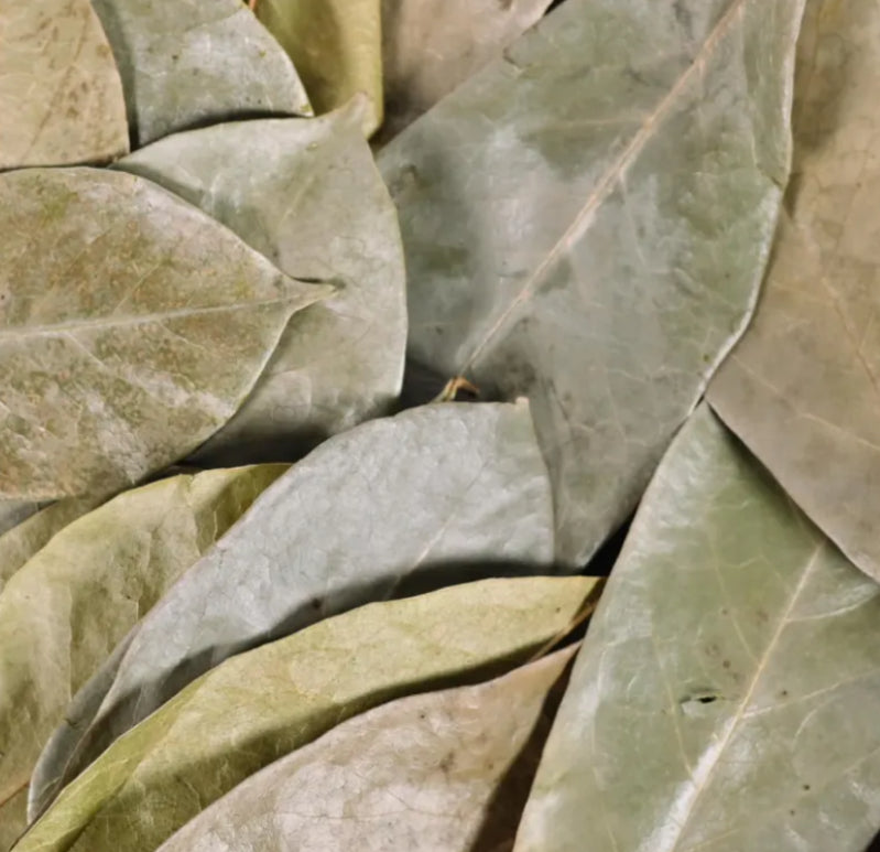 Lifespring Soursop